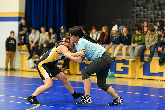 Wrestling DHS 011516-3-2360