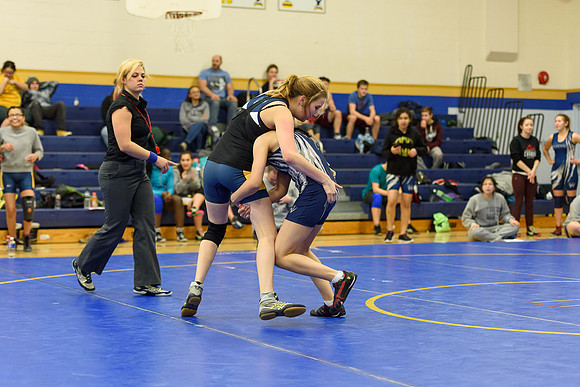 Wrestling DHS 011516-3-3998