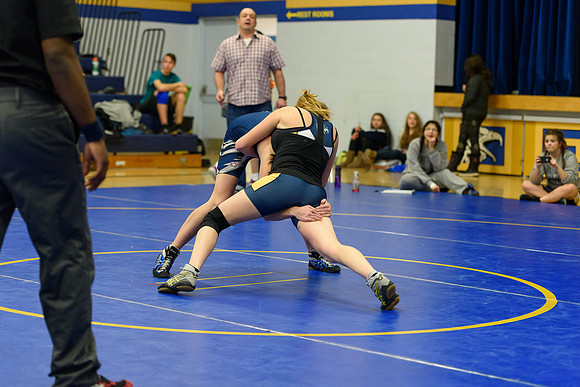 Wrestling DHS 011516-3-4961
