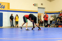 Wrestling DHS 011516-3-3690