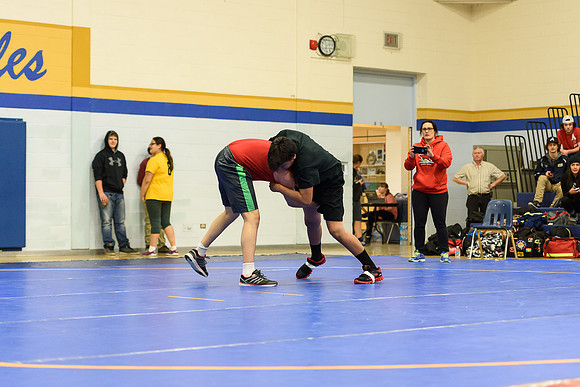 Wrestling DHS 011516-3-3690