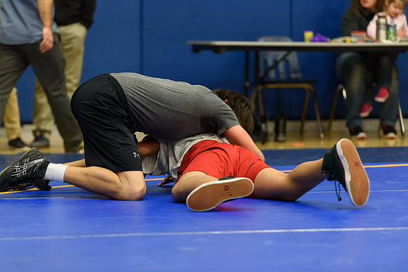 Wrestling DHS 011516-3-2901