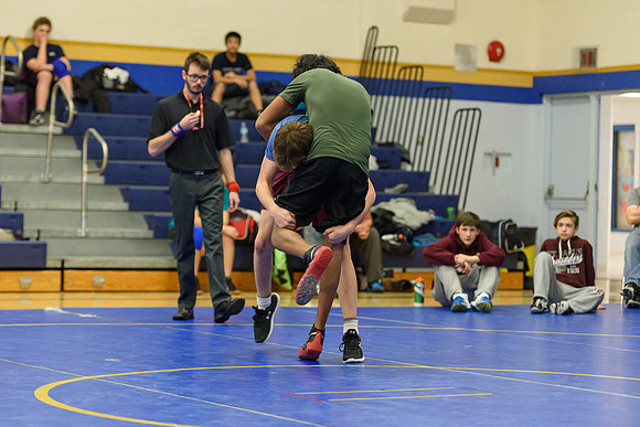 Wrestling DHS 011516-3-3706