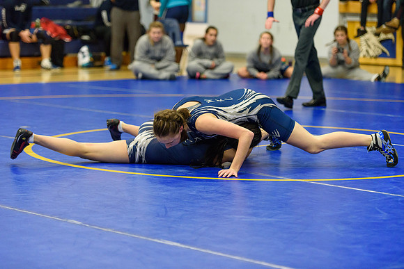 Wrestling DHS 011516-3-2115