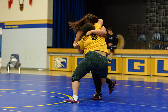 Wrestling DHS 011516-3-4431