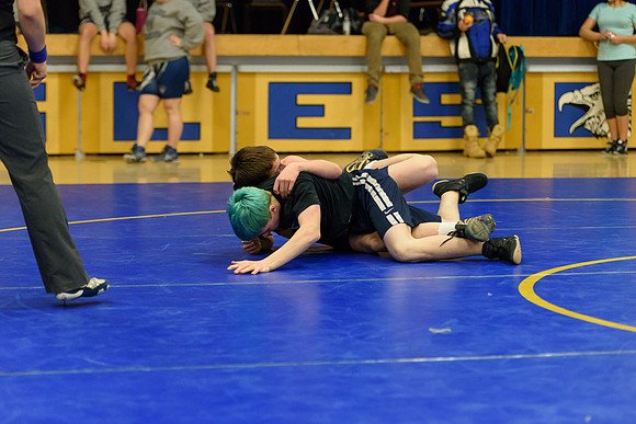 Wrestling DHS 011516-3-5322