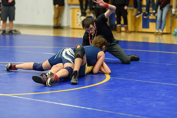 Wrestling DHS 011516-3-2259