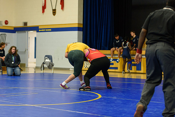 Wrestling DHS 011516-3-4419