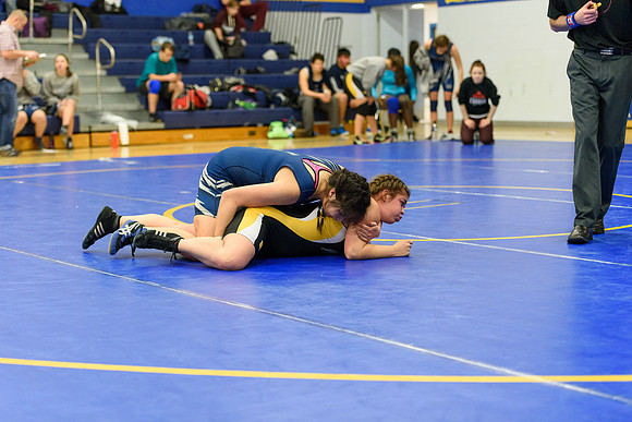 Wrestling DHS 011516-3-3449