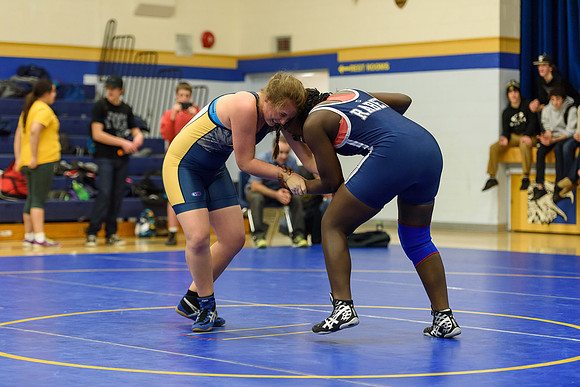 Wrestling DHS 011516-3-2495