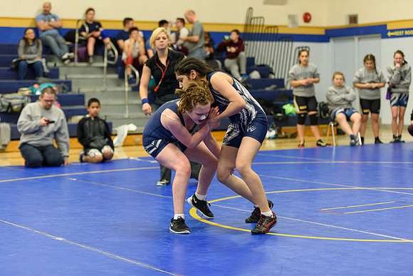 Wrestling DHS 011516-3-3266