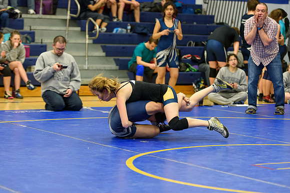 Wrestling DHS 011516-3-4117