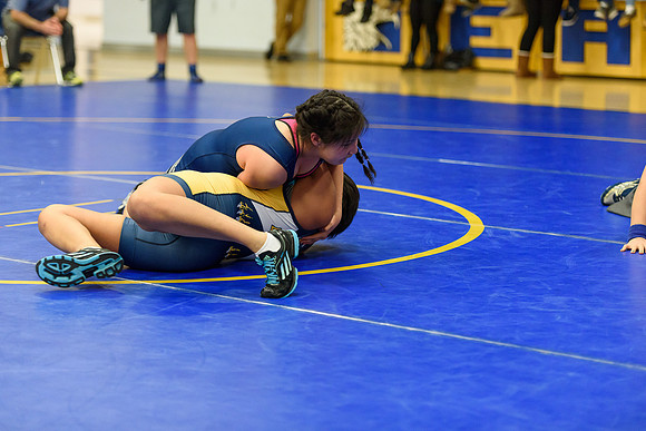 Wrestling DHS 011516-3-2349