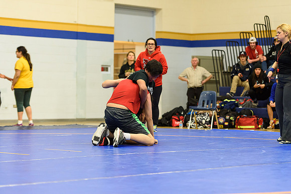 Wrestling DHS 011516-3-3692