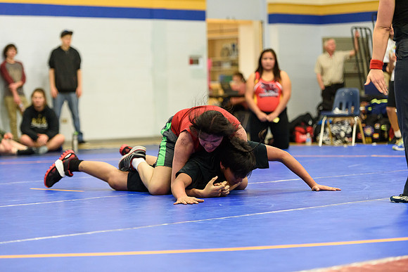 Wrestling DHS 011516-3-3774