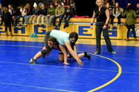Wrestling DHS 011516-3-2382