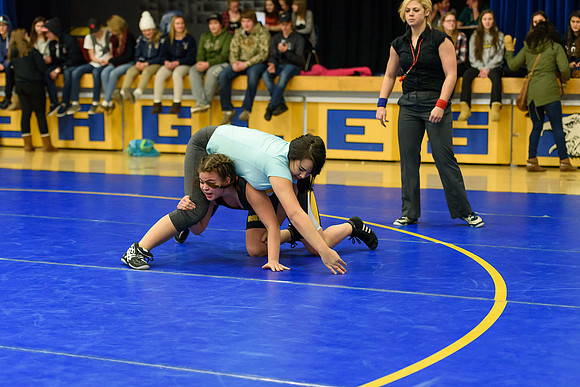 Wrestling DHS 011516-3-2382