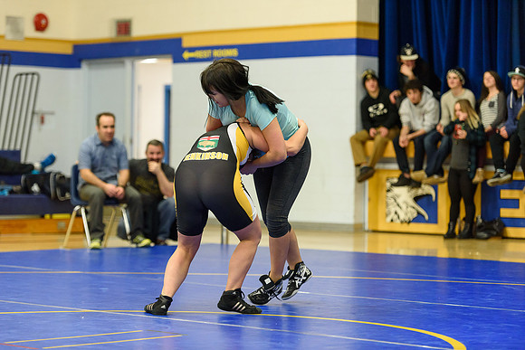 Wrestling DHS 011516-3-2431