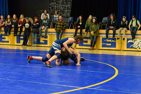 Wrestling DHS 011516-3-4161