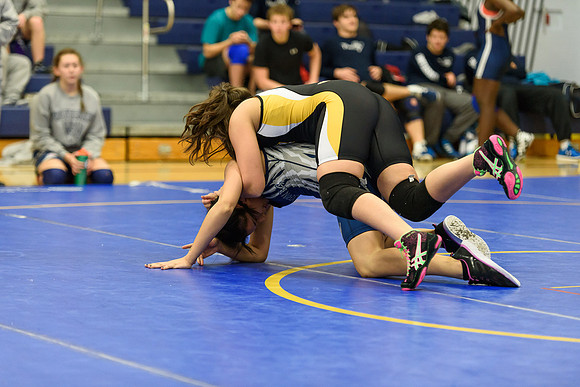 Wrestling DHS 011516-3-2292
