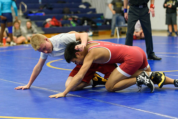 Wrestling DHS 011516-3-2674