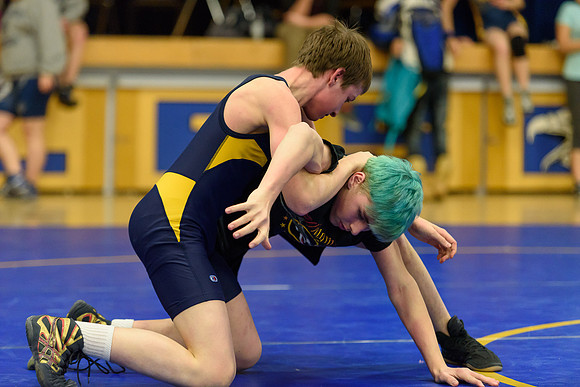 Wrestling DHS 011516-3-5329