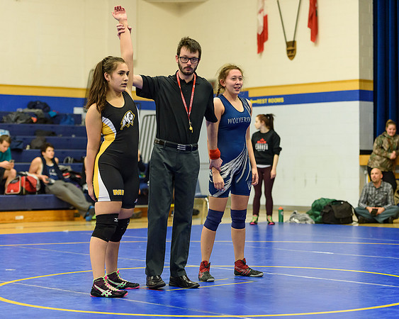 Wrestling DHS 011516-3-3387
