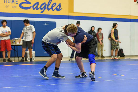 Wrestling DHS 011516-3-3466