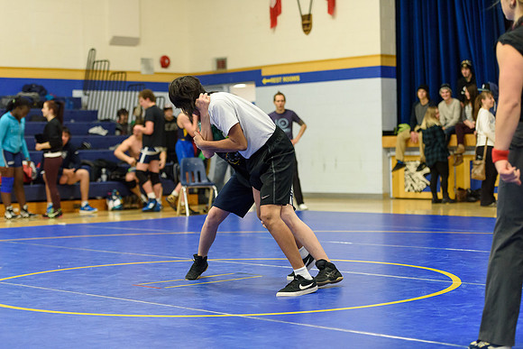 Wrestling DHS 011516-3-2857