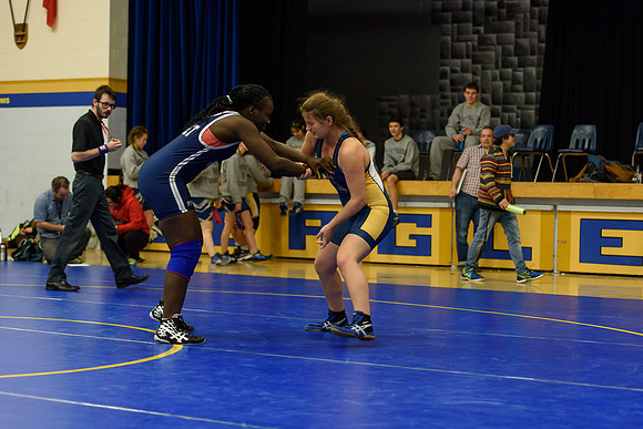 Wrestling DHS 011516-3-5193