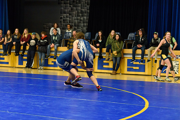 Wrestling DHS 011516-3-4160