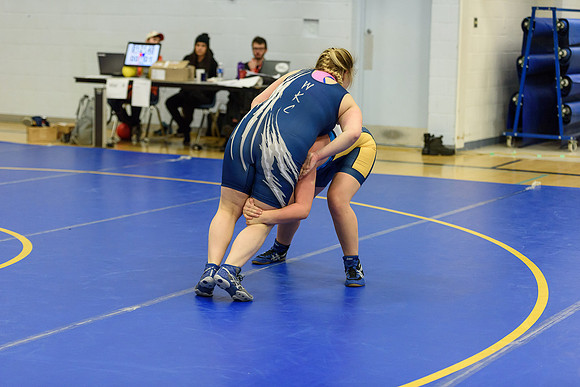 Wrestling DHS 011516-3-5862