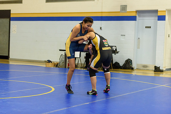 Wrestling DHS 011516-3-5724