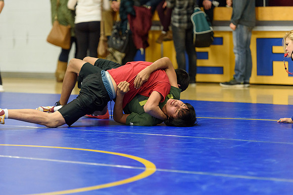 Wrestling DHS 011516-3-2918