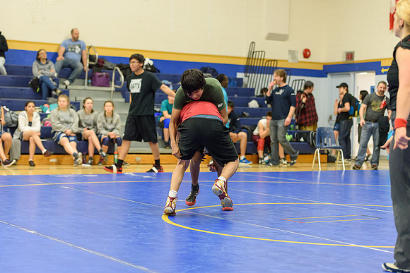 Wrestling DHS 011516-3-2907