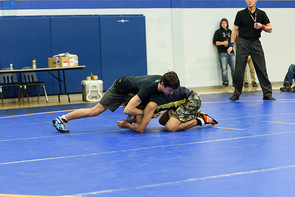 Wrestling DHS 011516-3-3394