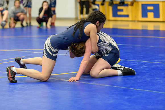 Wrestling DHS 011516-3-3276