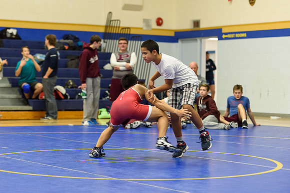 Wrestling DHS 011516-3-3572
