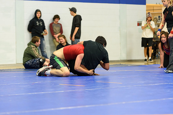 Wrestling DHS 011516-3-3724