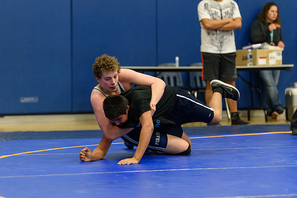 Wrestling DHS 011516-3-3618