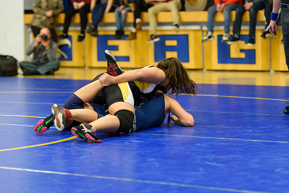 Wrestling DHS 011516-3-3359