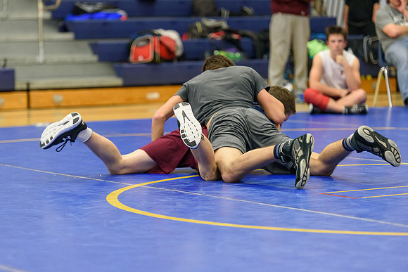 Wrestling DHS 011516-3-2979