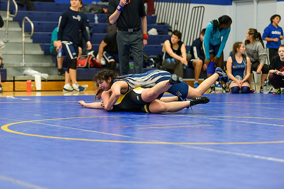 Wrestling DHS 011516-3-3492