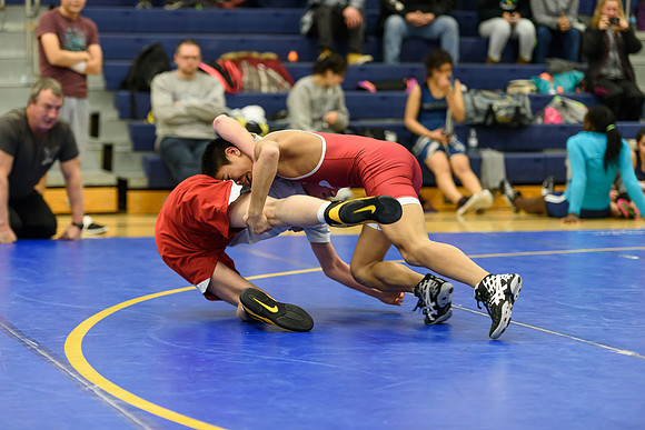 Wrestling DHS 011516-3-2614