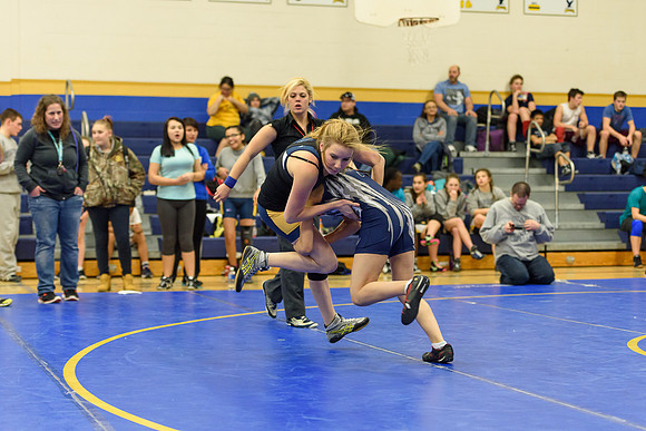 Wrestling DHS 011516-3-3999