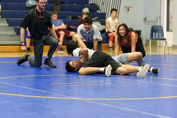 Wrestling DHS 011516-3-3695
