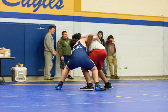 Wrestling DHS 011516-3-3652