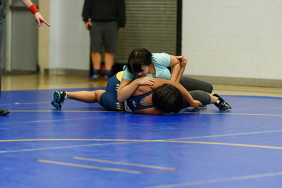 Wrestling DHS 011516-3-5096