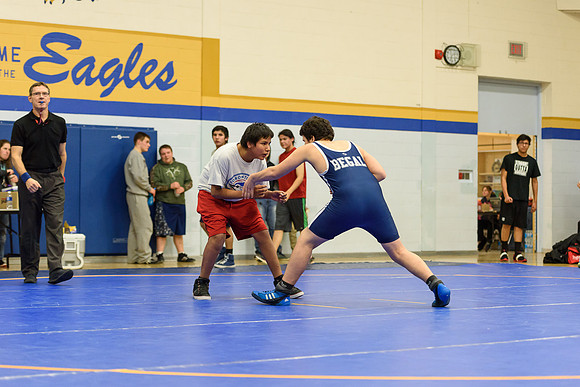 Wrestling DHS 011516-3-3646