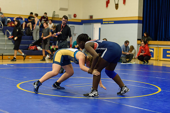 Wrestling DHS 011516-3-5205